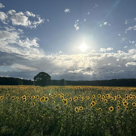 TriepkendorfUrlaub Auf Dem Landアパートメント エクステリア 写真